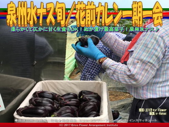 泉州水ナス旬(4)/花前カレン一期一会画像02 泉州水ナス旬(4)/花前カレン一期一会画像02