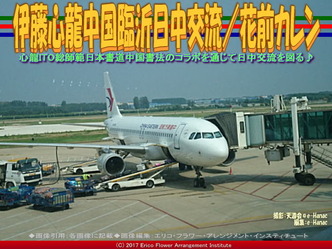 伊藤心龍中国臨沂日中交流(2)/花前カレン画像01 伊藤心龍中国臨沂日中交流(2)/花前カレン画像01