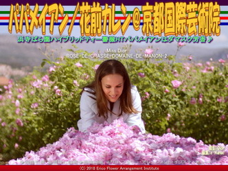 HTパパメイアンDamask／京都国際芸術院画像02
▼画像クリックで640x480pxlsに拡大＠エリ子花前カレン