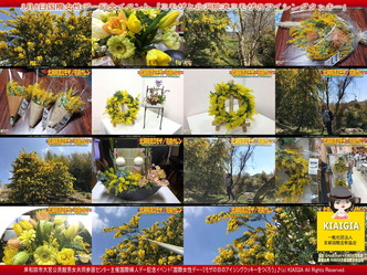 3月8日はミモザの日/京都東山北洞院流画像
▼画像クリックで1280x960pxlsに拡大@北洞院エリ子花前カレン 3月8日はミモザの日/京都東山北洞院流画像
▼画像クリックで1280x960pxlsに拡大@北洞院エリ子花前カレン