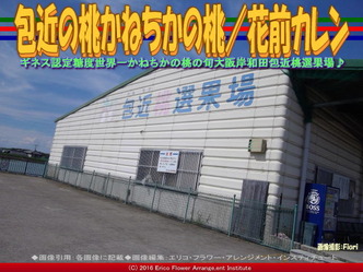 包近桃選果場／花前カレン画像03