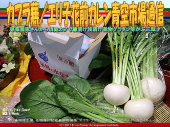 蕪(2)/エリ子花前カレン青空市場通信画像01 蕪(2)/エリ子花前カレン青空市場通信画像01