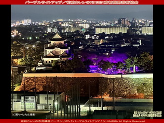 パープルライトアップ(5)/花前カレン画像
▼画像クリックで1280x960pxlsに拡大@北洞院エリ子花前カレン パープルライトアップ(5)/花前カレン画像
▼画像クリックで1280x960pxlsに拡大@北洞院エリ子花前カレン