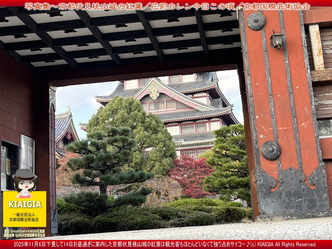 京この頃写真集～伏見桃山城の紅葉(2)／家元エリ子画像
▼画像クリックで1280x960pxlsに拡大＠北洞院エリ子花前カレン