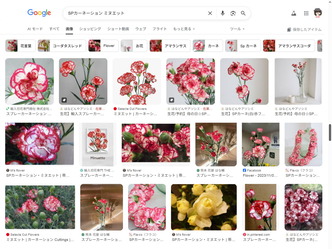 切り花お花～SPカーネーション(ミヌエット)／花前カレン画像
▼画像クリックで1280x960pxlsに拡大＠北洞院エリ子花前カレン