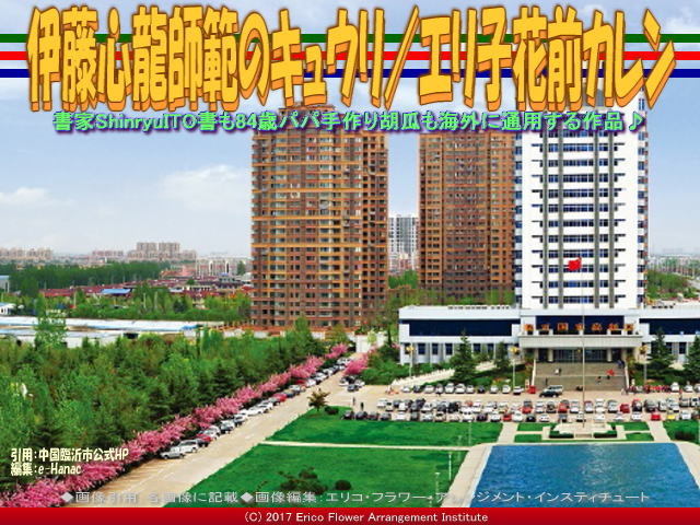 伊藤心龍師範キュウリ(3)/エリ子花前カレン画像03 伊藤心龍師範キュウリ(3)/エリ子花前カレン画像03