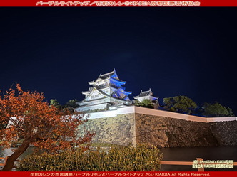 パープルライトアップ／花前カレン画像
▼画像クリックで1280x960pxlsに拡大＠北洞院エリ子花前カレン