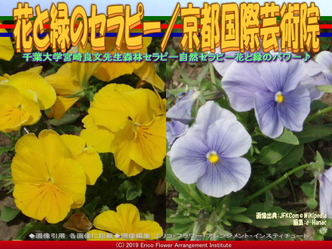 花と緑のセラピー(7)/京都国際芸術院画像01
▼画像クリックで640x480pxlsに拡大@エリ子花前カレン 花と緑のセラピー(7)/京都国際芸術院画像01
▼画像クリックで640x480pxlsに拡大@エリ子花前カレン