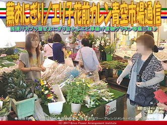 蕪おにぎり(3)/花前カレン青空市場通信画像01 蕪おにぎり(3)/花前カレン青空市場通信画像01