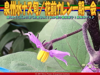 泉州水ナス旬(2)/花前カレン一期一会画像02 泉州水ナス旬(2)/花前カレン一期一会画像02