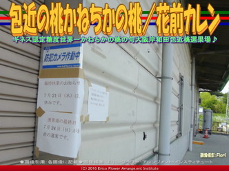 かねちかの桃／花前カレン一期一会画像03