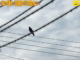 浜の夕暮れ／北洞院エリ子花前カレン画像02
▼画像クリックで1280x960pxlsに拡大＠北洞院エリ子花前カレン