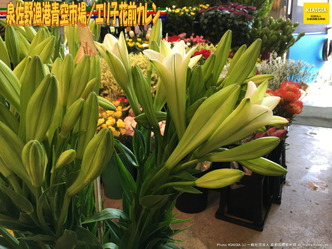 泉佐野漁港青空市場(5)/エリ子花前カレン画像04
▼画像クリックで1280x960pxlsに拡大@北洞院エリ子花前カレン 泉佐野漁港青空市場(5)/エリ子花前カレン画像04
▼画像クリックで1280x960pxlsに拡大@北洞院エリ子花前カレン