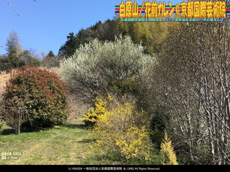 白原山(7)/花前カレン@京都国際芸術院画像01
▼画像クリックで1280x960pxlsに拡大@北洞院エリ子花前カレン 白原山(7)/花前カレン@京都国際芸術院画像01
▼画像クリックで1280x960pxlsに拡大@北洞院エリ子花前カレン