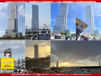 ゆく年くる年～りんくうタワー／花前カレン画像
▼画像クリックで1280x960pxlsに拡大＠北洞院エリ子花前カレン