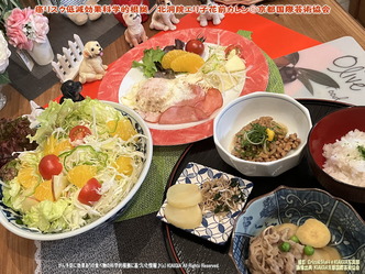 癌リスク低減効果科学的根拠(7)/花前カレン画像
▼画像クリックで1280x960pxlsに拡大@北洞院エリ子花前カレン 癌リスク低減効果科学的根拠(7)/花前カレン画像
▼画像クリックで1280x960pxlsに拡大@北洞院エリ子花前カレン