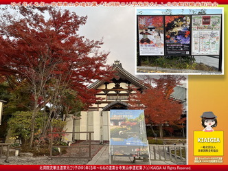 ゆく年くる年～京都東山(2)／家元エリ子画像01
▼画像クリックで1280x960pxlsに拡大＠北洞院エリ子花前カレン