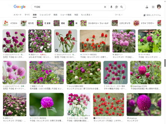 切り花お花～千日紅／京都東山北洞院流家元エリ子花前カレン画像
▼画像クリックで1280x960pxlsに拡大＠北洞院エリ子花前カレン