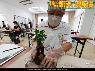 天神山公民館苔玉作り(6)/京都国際芸術協会画像02
▼画像クリックで1280x960pxlsに拡大@北洞院エリ子花前カレン 天神山公民館苔玉作り(6)/京都国際芸術協会画像02
▼画像クリックで1280x960pxlsに拡大@北洞院エリ子花前カレン