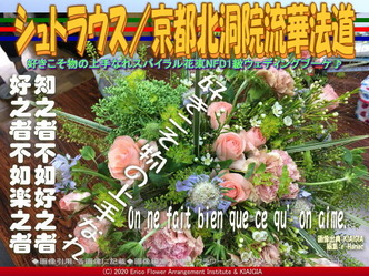 シュトラウス(10)/京都北洞院流華法道画像01
▼画像クリックで640x480pxlsに拡大@北洞院エリ子花前カレン シュトラウス(10)/京都北洞院流華法道画像01
▼画像クリックで640x480pxlsに拡大@北洞院エリ子花前カレン