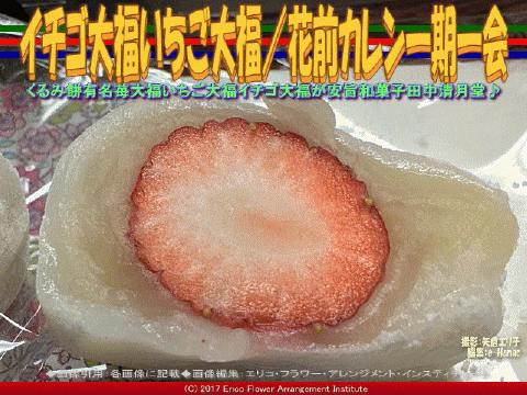 イチゴ大福いちご大福 花前カレン一期一会 花前のブログ By Hanasaki Karen