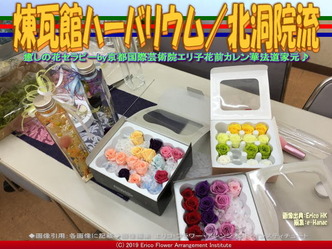 煉瓦館ハーバリウム(5)/北洞院流画像01
▼画像クリックで640x480pxlsに拡大@エリ子花前カレン 煉瓦館ハーバリウム(5)/北洞院流画像01
▼画像クリックで640x480pxlsに拡大@エリ子花前カレン