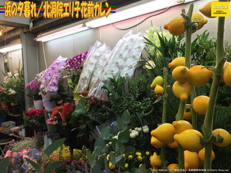 浜の夕暮れ(4)／北洞院エリ子花前カレン画像01
▼画像クリックで1280x960pxlsに拡大＠北洞院エリ子花前カレン