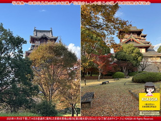 京この頃写真集～伏見桃山城の紅葉(4)／家元エリ子画像
▼画像クリックで1280x960pxlsに拡大＠北洞院エリ子花前カレン