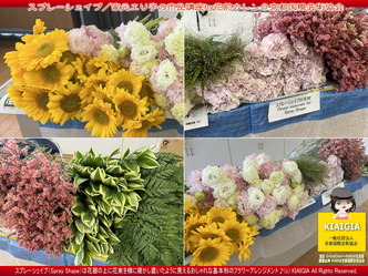 スプレーシェイプ(4)／家元エリ子の市民講座画像
▼画像クリックで1280x960pxlsに拡大＠北洞院エリ子花前カレン