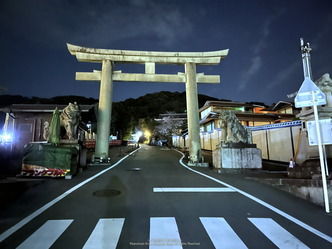 維新の道夜桜満開／花前カレン画像01