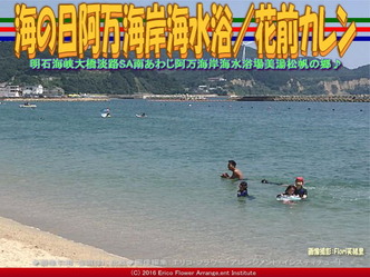 阿万海岸海水浴場／花前カレン画像02