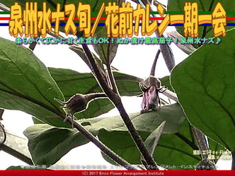泉州水ナス旬/花前カレン一期一会画像03 泉州水ナス旬/花前カレン一期一会画像03