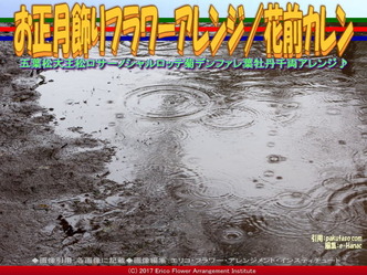 お正月飾りフラワーアレンジ／花前カレン画像02