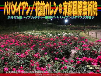 パパメイアン(4)/花前カレン@京都国際芸術院画像01
▼画像クリックで640x480pxlsに拡大@エリ子花前カレン パパメイアン(4)/花前カレン@京都国際芸術院画像01
▼画像クリックで640x480pxlsに拡大@エリ子花前カレン