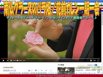 南仏グラースのバラ畑／花前カレン一期一会画像02