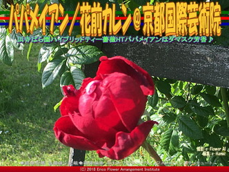 HTパパメイアンHauteur／京都国際芸術院画像01
▼画像クリックで640x480pxlsに拡大＠エリ子花前カレン