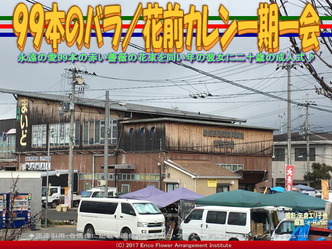 99本のバラ(4)/花前カレン一期一会画像03 99本のバラ(4)/花前カレン一期一会画像03