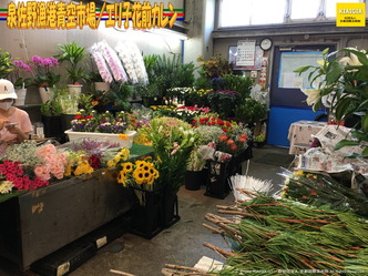 泉佐野漁港青空市場(5)/エリ子花前カレン画像01
▼画像クリックで1280x960pxlsに拡大@北洞院エリ子花前カレン 泉佐野漁港青空市場(5)/エリ子花前カレン画像01
▼画像クリックで1280x960pxlsに拡大@北洞院エリ子花前カレン