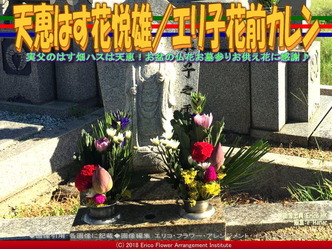 天恵はす花悦雄/エリ子花前カレン画像02
▼画像クリックで640x480pxlsに拡大@エリ子花前カレン 天恵はす花悦雄/エリ子花前カレン画像02
▼画像クリックで640x480pxlsに拡大@エリ子花前カレン