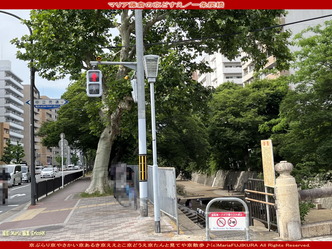 マリア藤倉の京どすえ／一条戻橋画像01
▼画像クリックで1280x960pxlsに拡大＠北洞院エリ子花前カレン