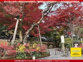 ゆく年くる年～京都東山(2)／家元エリ子画像02
▼画像クリックで1280x960pxlsに拡大＠北洞院エリ子花前カレン