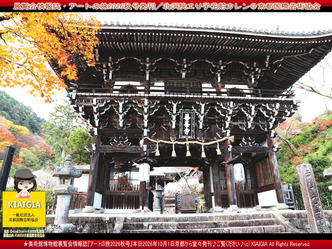 アートの旅2026秋号(6)～善峯寺案内／京都国際芸術協会画像
▼画像クリックで1280x960pxlsに拡大＠北洞院エリ子花前カレン
