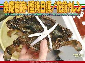 余慶徳渡り蟹後日譚(10)／花前カレン画像01
▼画像クリックで640x480pxlsに拡大＠エリ子花前カレン