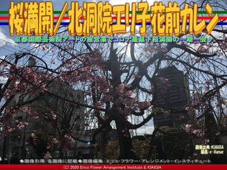 桜満開(3)/北洞院エリ子花前カレン画像01
▼画像クリックで640x480pxlsに拡大@北洞院エリ子花前カレン 桜満開(3)/北洞院エリ子花前カレン画像01
▼画像クリックで640x480pxlsに拡大@北洞院エリ子花前カレン