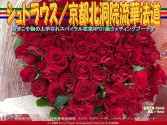 シュトラウス(5)/京都北洞院流華法道画像02
▼画像クリックで640x480pxlsに拡大@北洞院エリ子花前カレン シュトラウス(5)/京都北洞院流華法道画像02
▼画像クリックで640x480pxlsに拡大@北洞院エリ子花前カレン