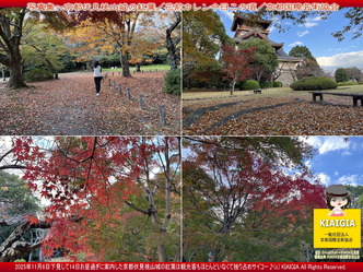 京この頃写真集～伏見桃山城の紅葉(7)／家元エリ子画像
▼画像クリックで1280x960pxlsに拡大＠北洞院エリ子花前カレン