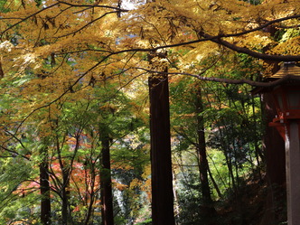 (4)京都西山善峯寺の紅葉はとても綺麗だった01