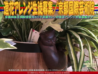 造花アレンジ生徒募集(4)/京都国際芸術院画像02
▼画像クリックで640x480pxlsに拡大@北洞院エリ子花前カレン 造花アレンジ生徒募集(4)/京都国際芸術院画像02
▼画像クリックで640x480pxlsに拡大@北洞院エリ子花前カレン