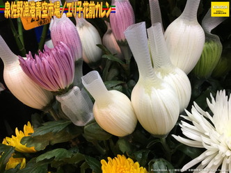 泉佐野漁港青空市場(6)/エリ子花前カレン画像01
▼画像クリックで1280x960pxlsに拡大@北洞院エリ子花前カレン 泉佐野漁港青空市場(6)/エリ子花前カレン画像01
▼画像クリックで1280x960pxlsに拡大@北洞院エリ子花前カレン