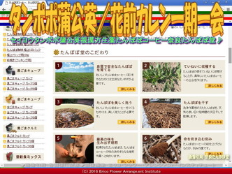 タンポポコーヒー／花前カレン画像01